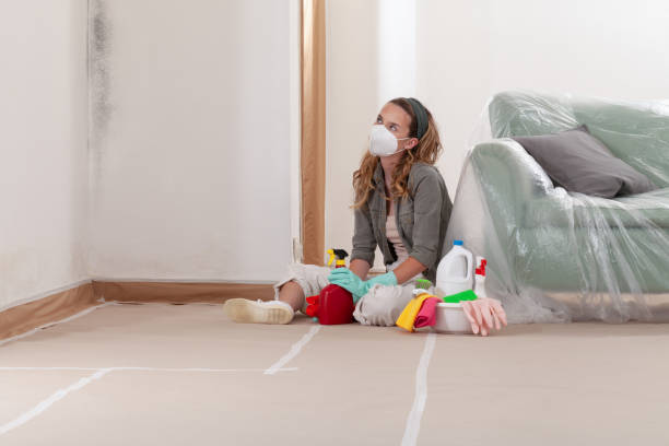 Reliable Mold Remediation contractor in Rosemount, MN by WQB Mold Removal